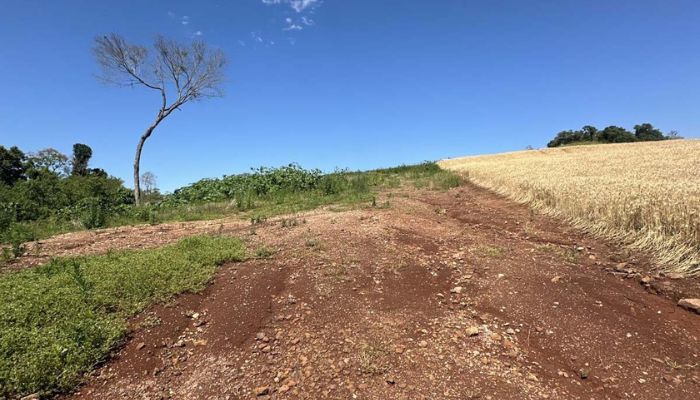  IAT aplica R$ 2,9 milhões em multas ambientais durante a Operação Mata Atlântica em Pé